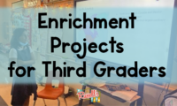Enrichment Projects for Third Graders